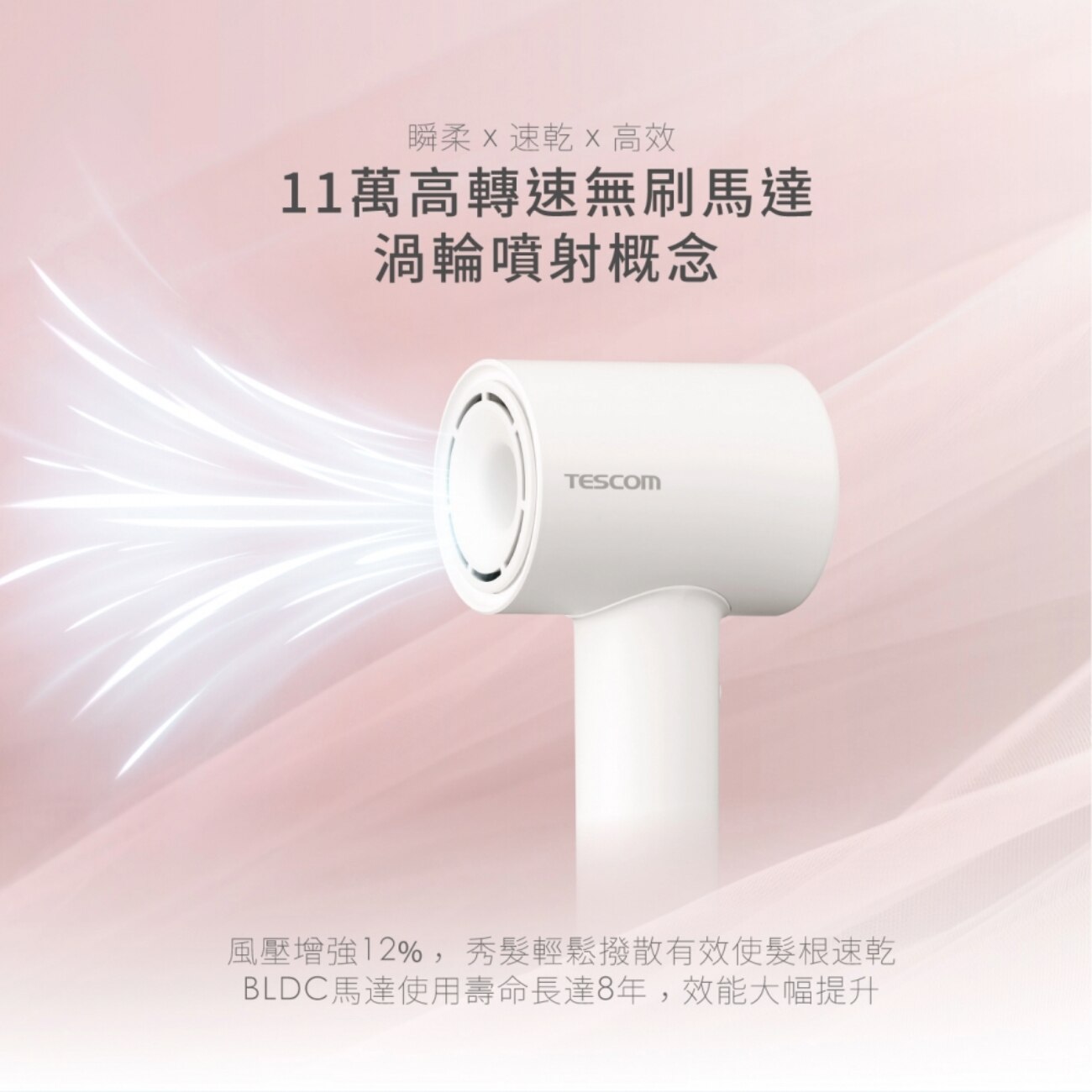 Nobby by Tescom TD760HK-W Platinum Negative Ions Collagen BLDC Hair Dryer